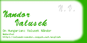nandor valusek business card